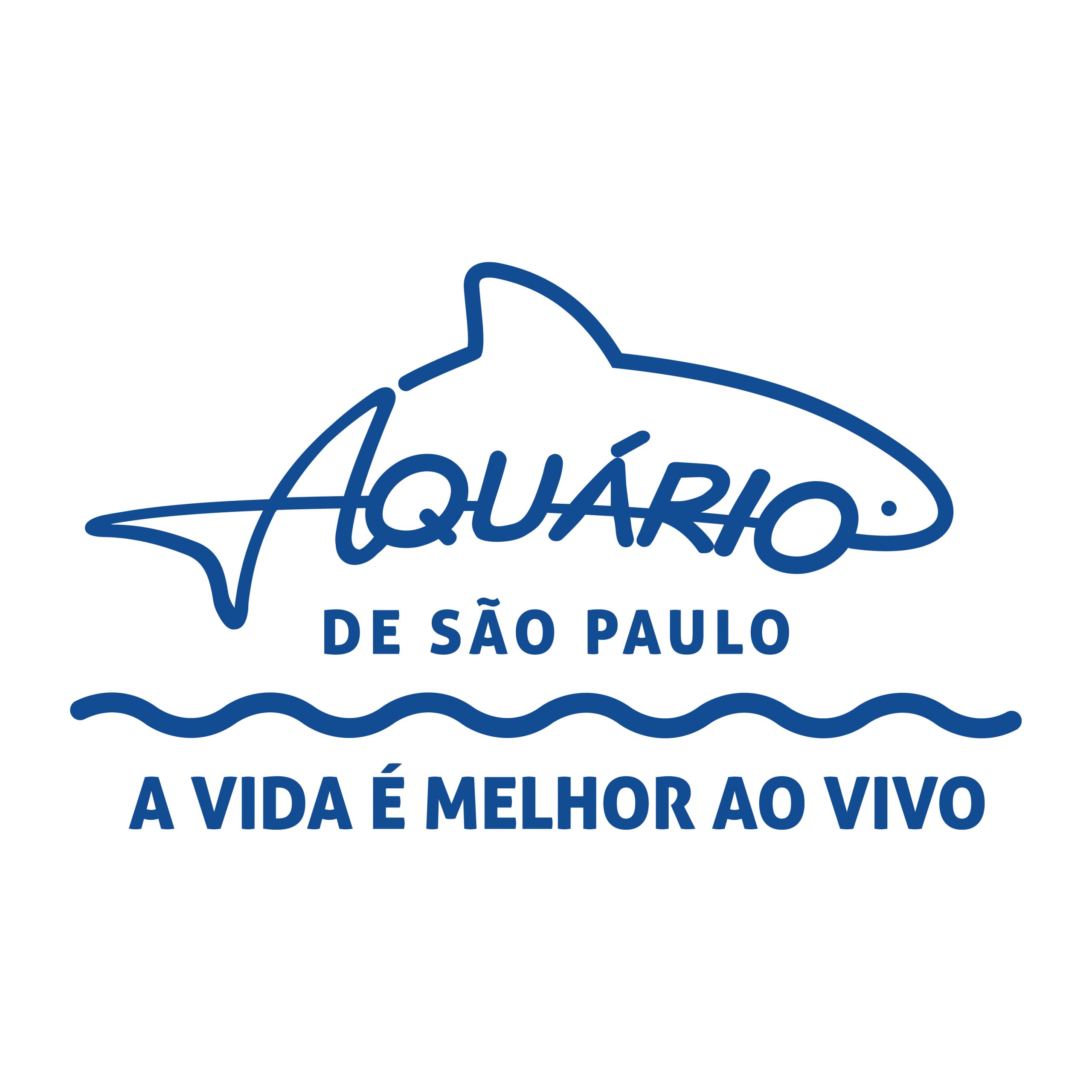 Logo de LADOSOL COMERCIO E SERVICOS DE EVENTOS LTDA