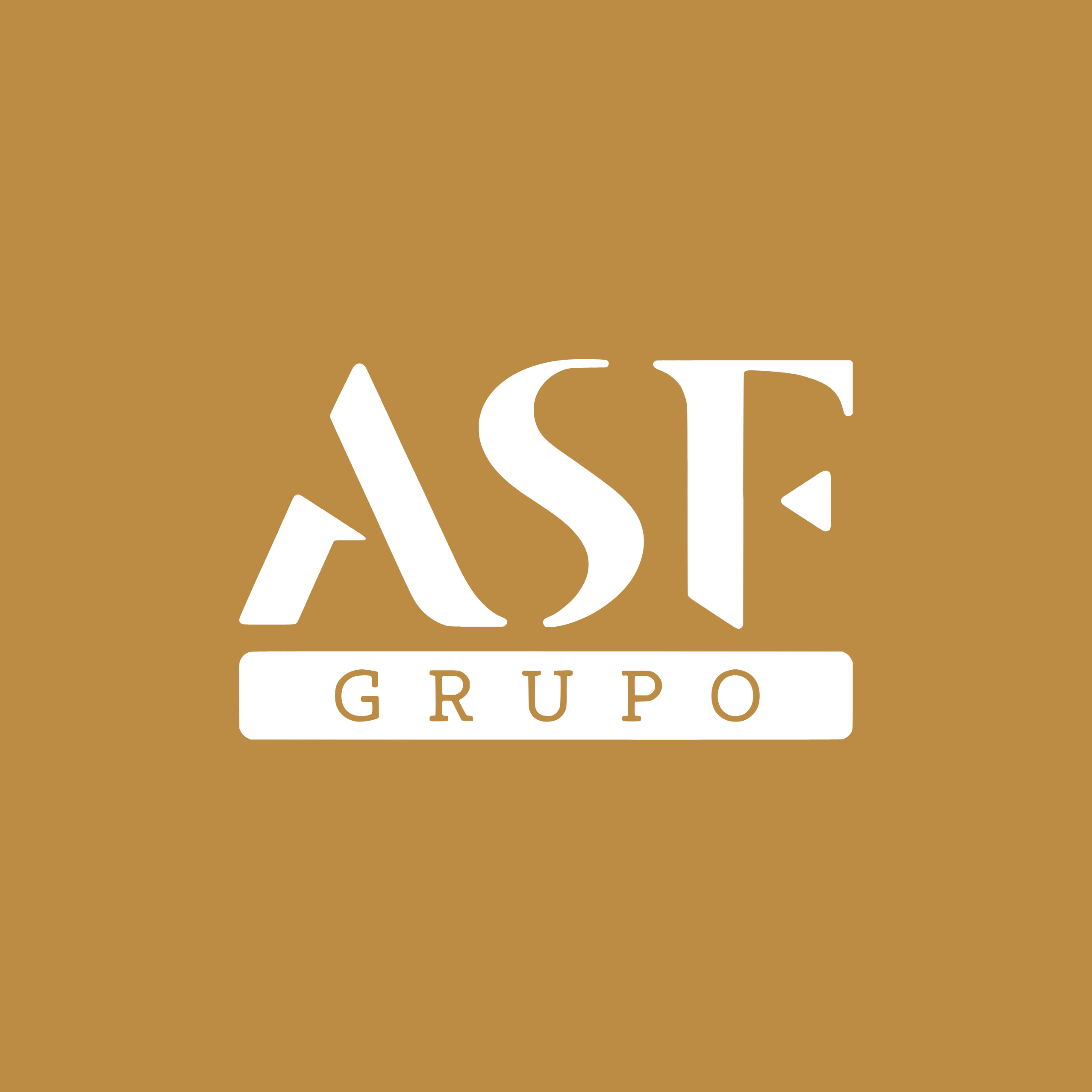 Grupo ASF